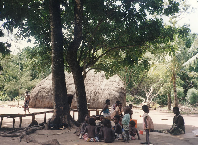 Dorf in Westafrika